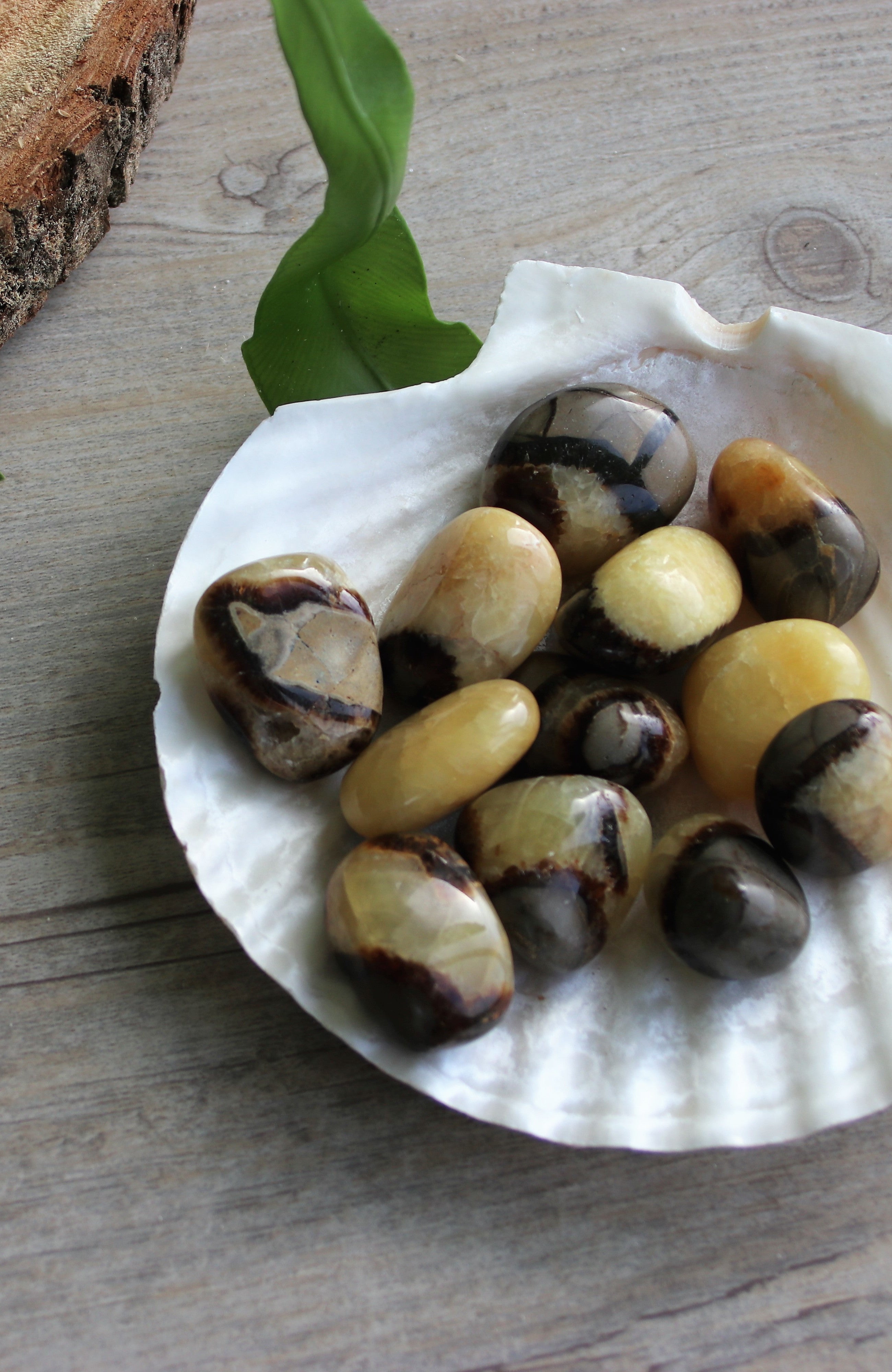 Septarian Stone  (aka Dragon Stone) Tumbled Stone